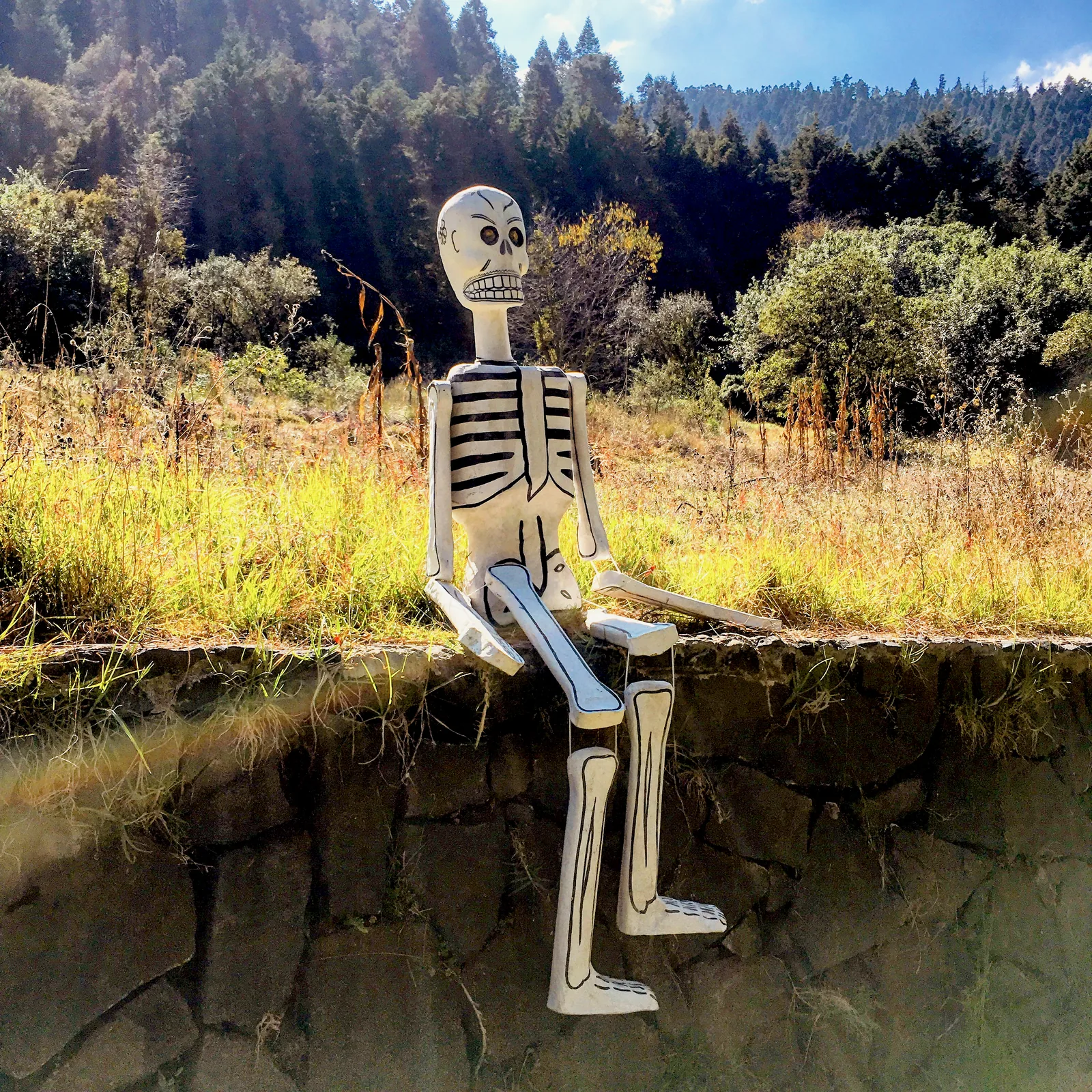 El Guardián del Bosque